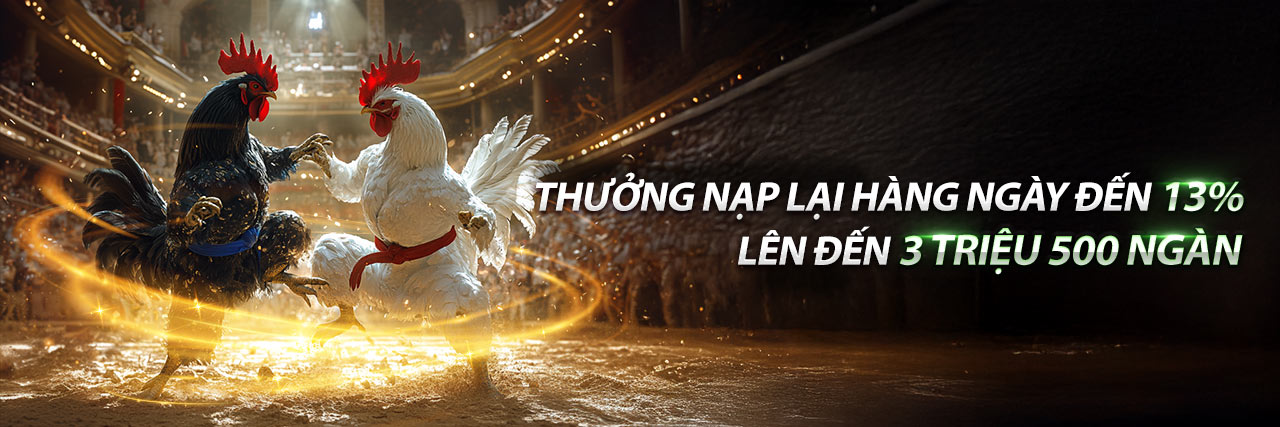 Đá Gà Trực Tuyến 89bet2: Sân Chơi Chọi Gà Đỉnh Cao